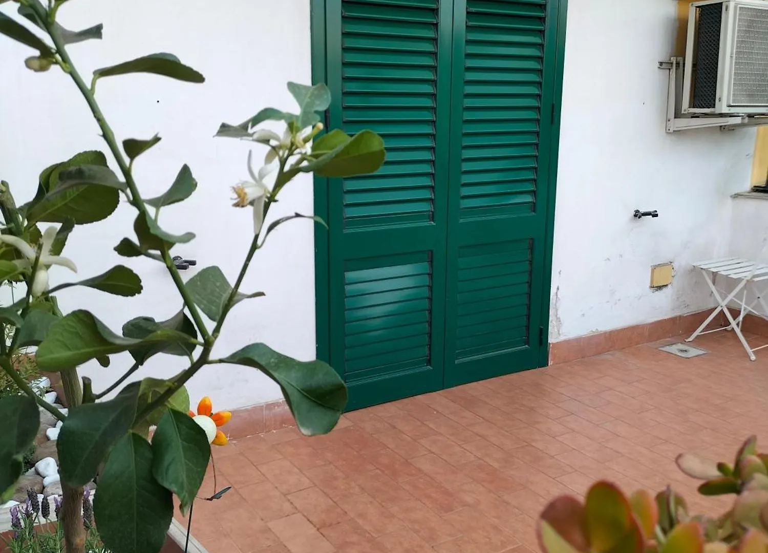 Ciuridda Mia Apartment Palermo Italy