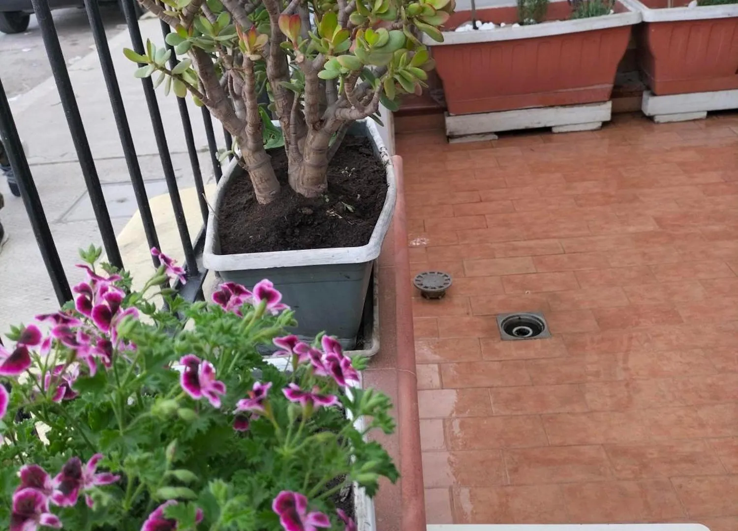 Ciuridda Mia Apartment Palermo