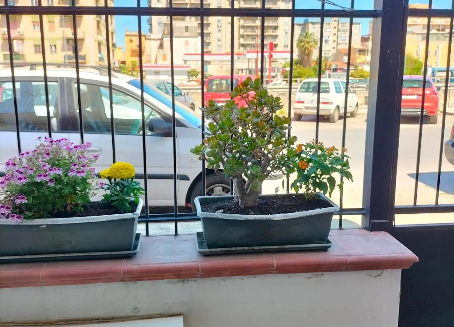 Ciuridda Mia Apartment Palermo 0*,  Italy
