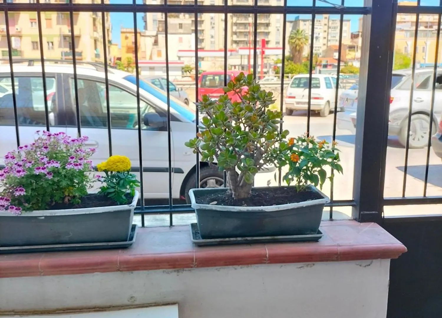 Ciuridda Mia Apartment Palermo